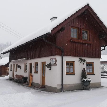 Apartment Natur Herz Haus im Ennstal Exteriér fotografie