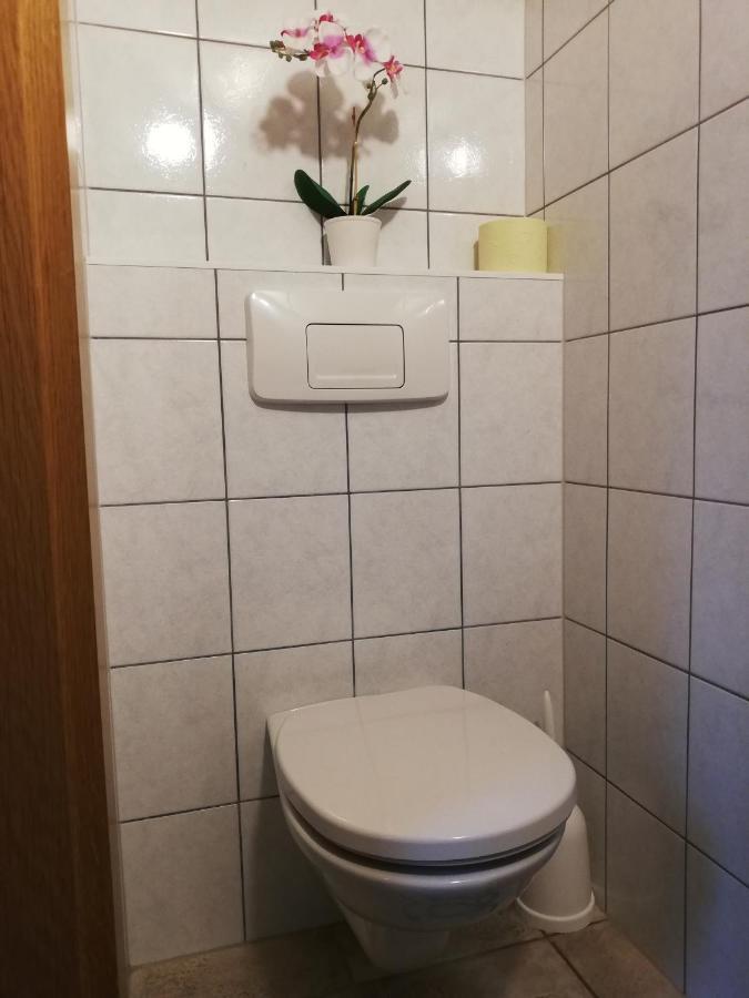 Apartment Natur Herz Haus im Ennstal Exteriér fotografie