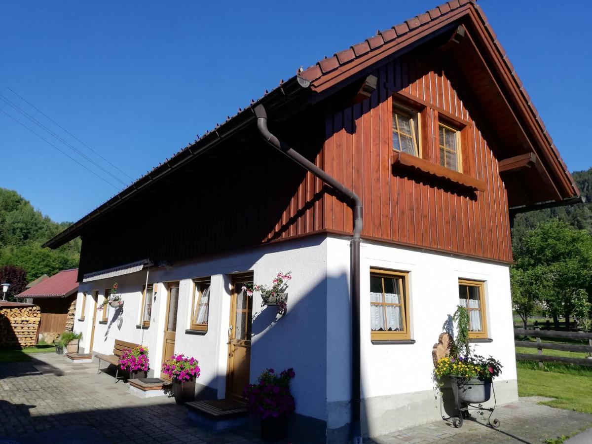 Apartment Natur Herz Haus im Ennstal Exteriér fotografie