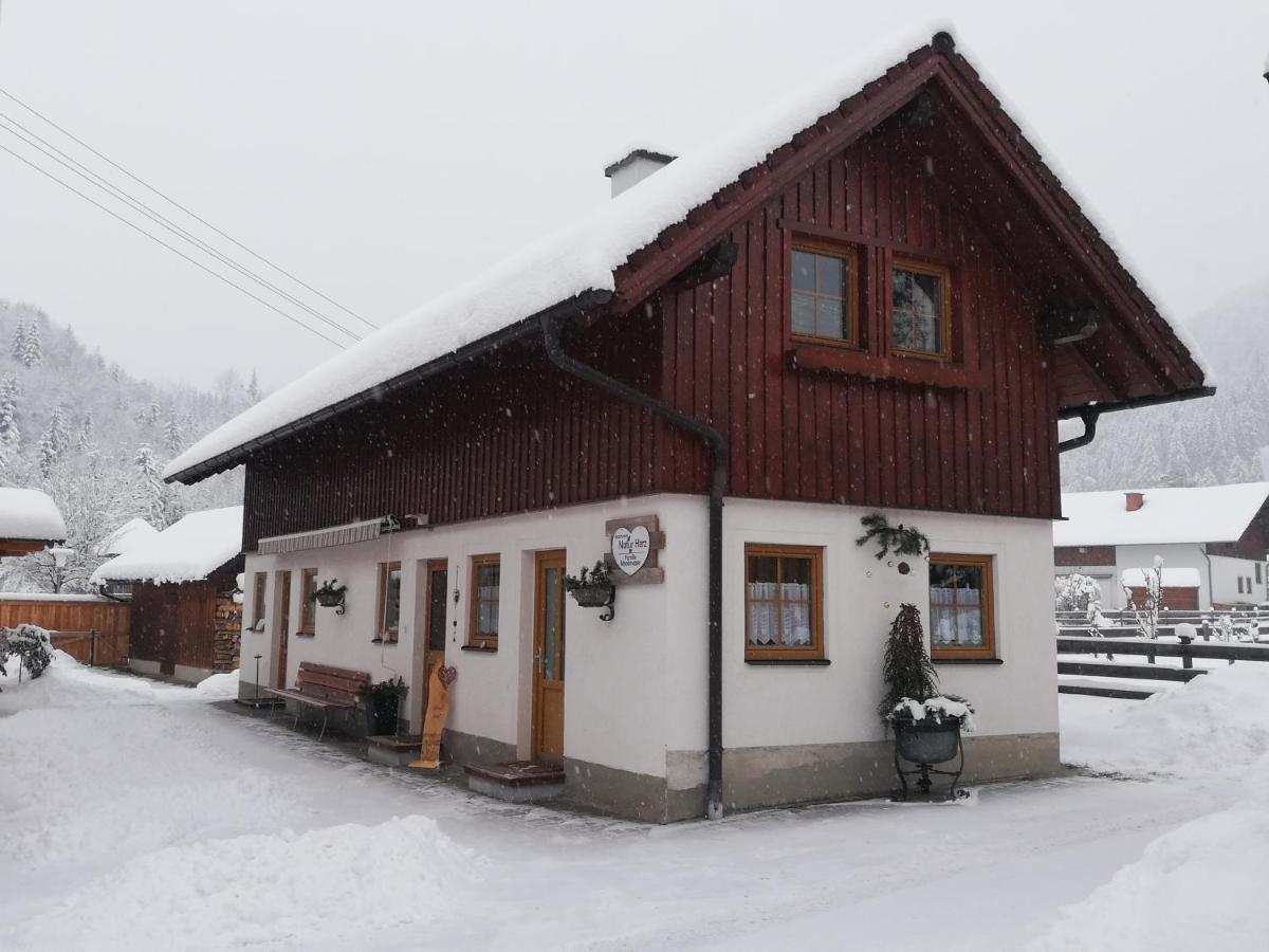 Apartment Natur Herz Haus im Ennstal Exteriér fotografie